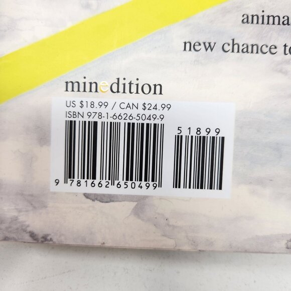 Sea Lions In The Parking Lot By Lenora Todaro & Annika Siems Hardcover Book - Picture 3 of 12